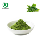 Healthy Safe Organic Raw Green Tea Matcha Powder With Multi Applications