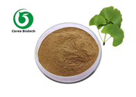 Hot Selling Top China Quality 100% Natural Ginkgo Biloba Leaf Extract Powder