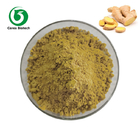 Herbal Ginger Root Extract 40% Gingerol Powder Food Supplement