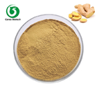 Antioxidant 40% Dried Ginger Root Extract Powder Food Supplement