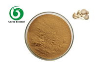 Organic Oyster Mushroom Extract Powder 10% 20% 30% Beta Glucan