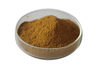 Food Grade Echinacea Purpurea Extract Powder 4% Chicoric Acid