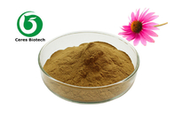 Food Grade Echinacea Purpurea Extract Powder 4% Chicoric Acid