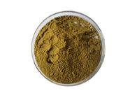 Health Care Ginkgo Biloba Extract Powder Pharmaceutical Grade Flavone 24% Lactones 6%