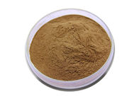 Gbe 761 Ginkgo Biloba Leaf Extract 24% Flavones 6% Lactones Solvent Extraction