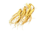 Natural Ginseng Extract 5%-80% Ginsenoside for Healthcare Supplyment