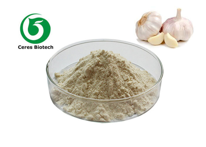 Bulk Garlic Extract Powder Feed Additive 10% Allicin