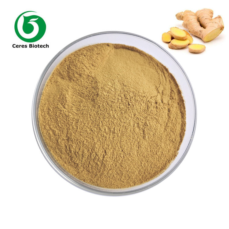 40% Herb Plant Extract Gingerol Powder Food Grade