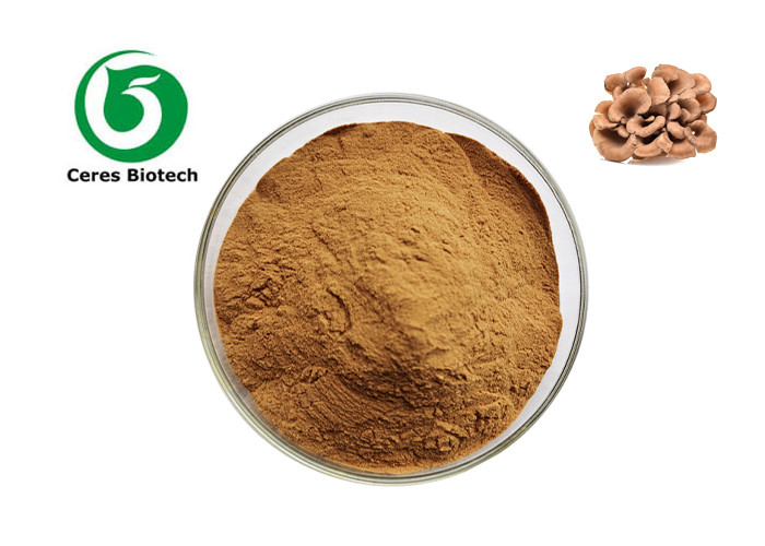 Maitake Mushroom Herbal Extract Powder Grifola Frondosa Extract Polysaccharide 30%