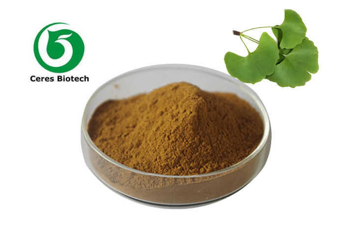 Lowering Blood Pressure Ginkgo Biloba Extract Powder Flavone 24% Lactones 6%