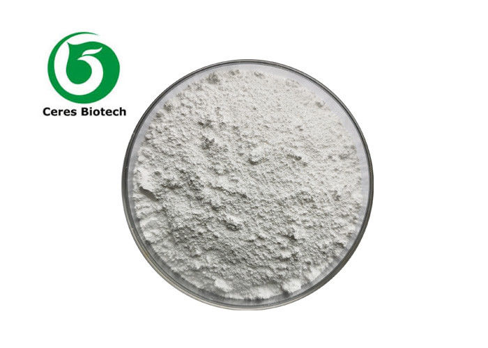 CAS 81025-04-9 Herbal Extract Powder Lactitol Monohydrate