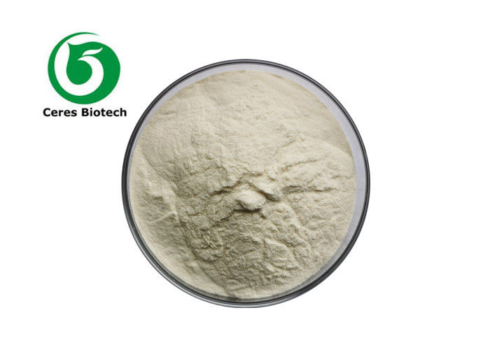 Organic Brown Rice Protein Powder CAS No 94350-05-7