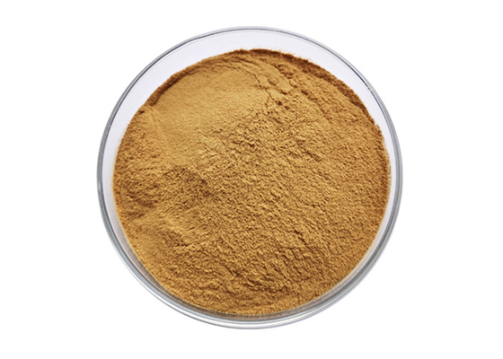 Factory Supply High Quality 10:1 Glycyrrhiza Glabra Root Extract  7% Glycyrrhizic Acid