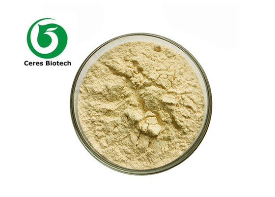 Food Grade 99% Pure Passion Fruit Juice Powder