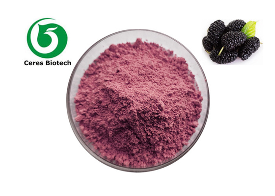 99% Organic Mulbery Fruit Juice Powder 80 Mesh Food Grade