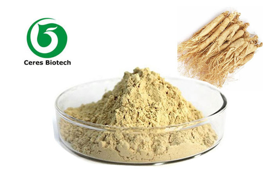 Polvo caliente del extracto del ginseng de la venta con el 5% el 20% el 80% Ginsenosides