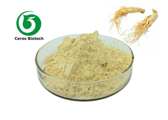Polvo puro del extracto del ginseng del polvo del ginseng de Panax de la raíz de Ginsing de la categoría alimenticia