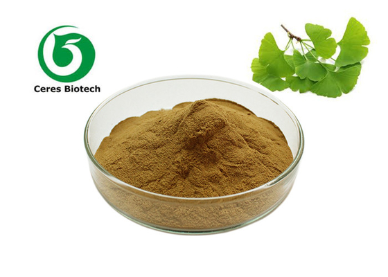 Polvo orgánico natural a granel del extracto de la hoja de Biloba del Ginkgo de la fuente