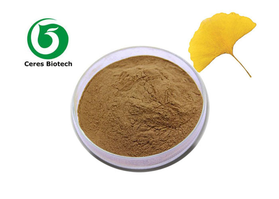 Ingrediente activo de las flavonas Top 100% extracto de hojas de ginkgo biloba en polvo