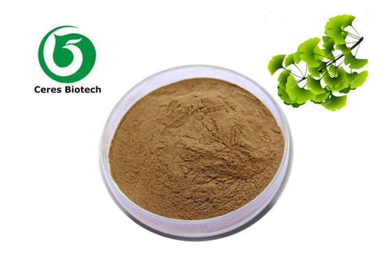 Polvo del extracto del biloba el 6% el 24% del extracto de Biloba del Ginkgo del polvo del extracto de la hoja del Ginkgo de la fábrica de la fuente
