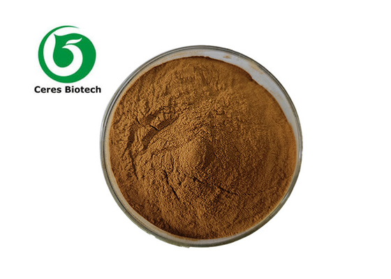 Libera los Beneficios para la Salud del Extracto de Arce Azucarero de Botanic Source Astragalus Membranaceus